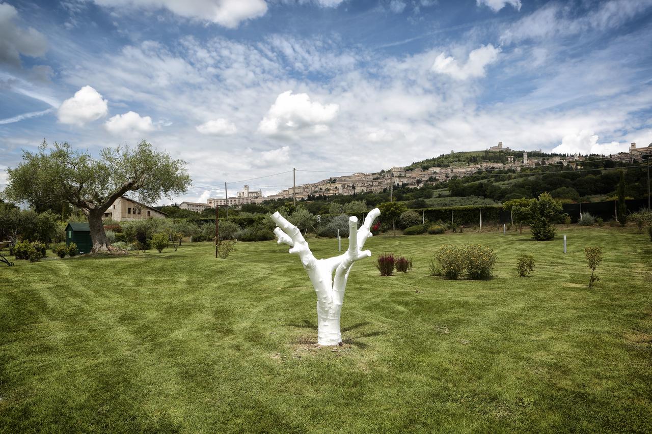 Tenuta San Masseo - Boutique Farm Resort & Spa Assisi Buitenkant foto
